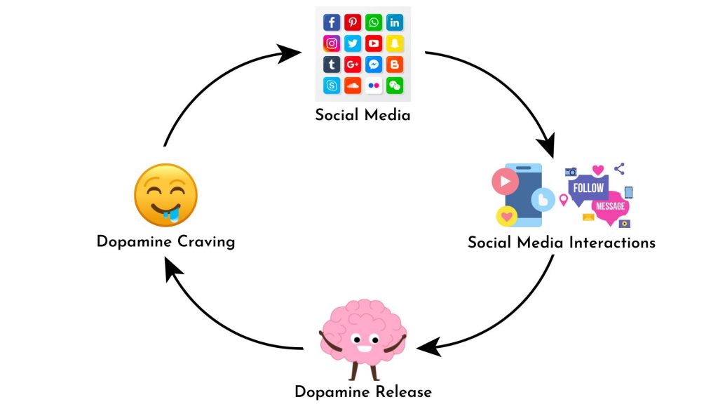 The Social Media Dopamine Cycle