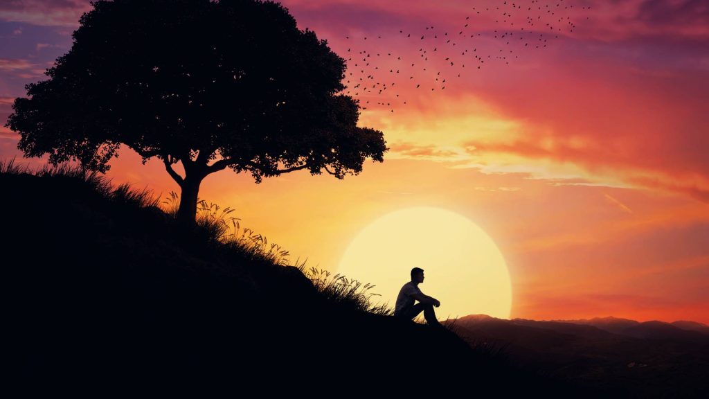 Man Sitting on Hill Being Mindful with Sunset and Tree Silhouette 