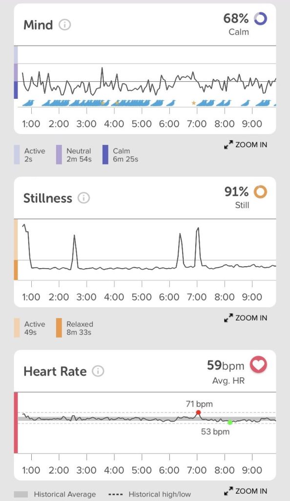 How Useful is Muse's Biofeedback