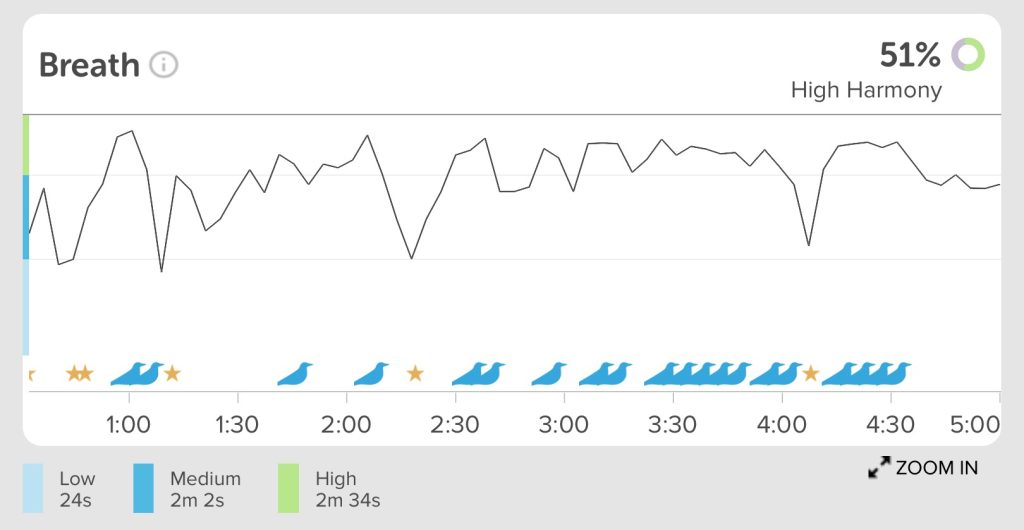 Muse Breath Biofeedback