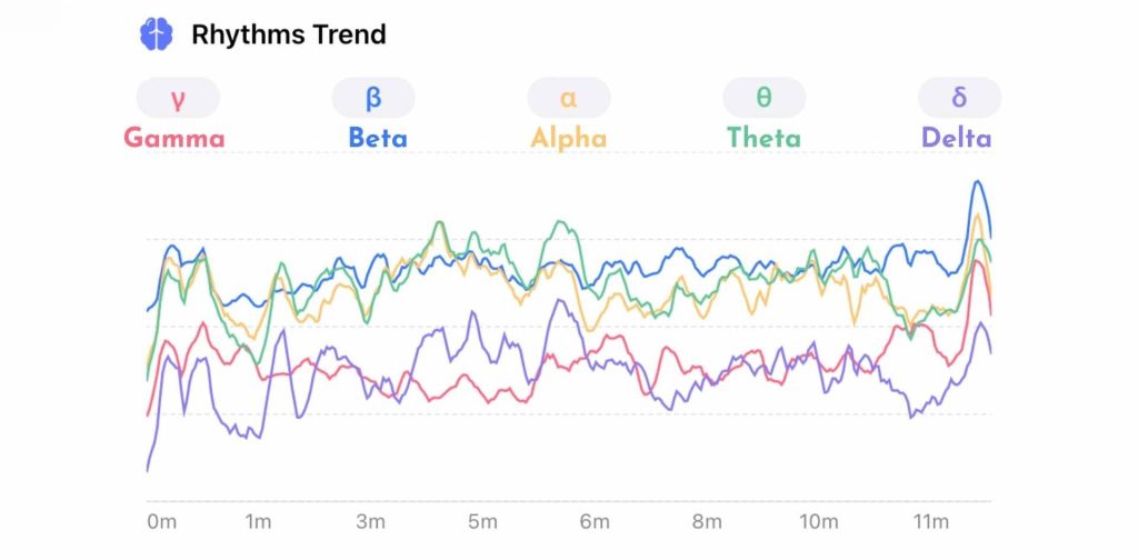 Brainwave Data